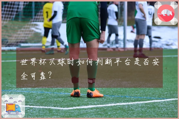 世界杯买球时如何判断平台是否安全可靠？